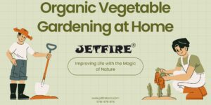 Organic Vegetable Gardening at Home – Complete Beginner’s Guide