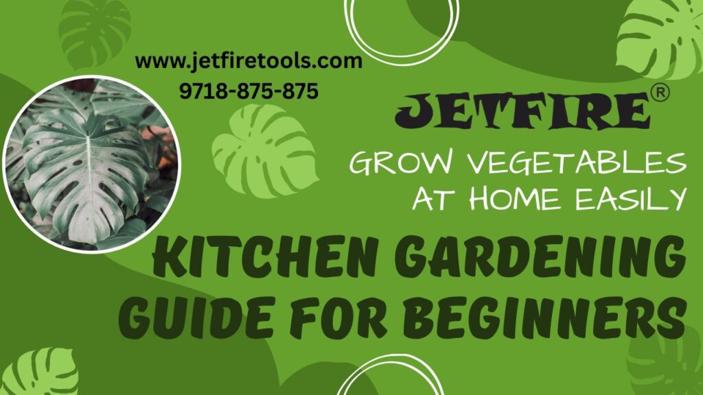 Kitchen Gardening Step-by-Step Guide for Beginners | How to Grow Vegetables at Home Easily? 2 Kitchen Gardening Step-by-Step Guide for Beginners
