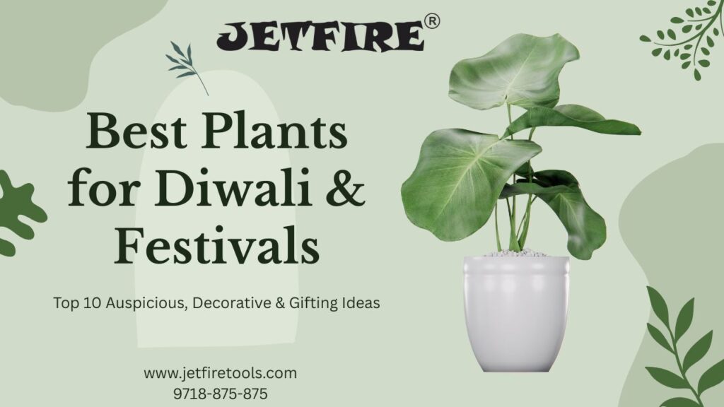 Best Plants for Diwali and Festivals | Top 10 Auspicious, Decorative & Gifting Ideas 2 Best Plants for Diwali & Festivals