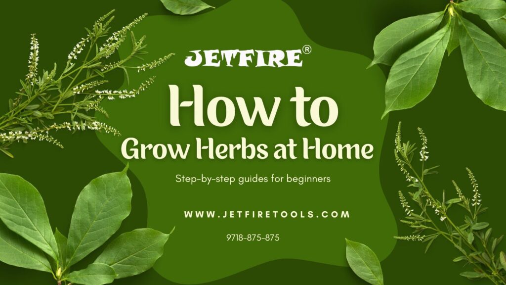 How to Grow Herbs at Home: The Ultimate Guide for Beginners 2 How to Grow Herbs at Home