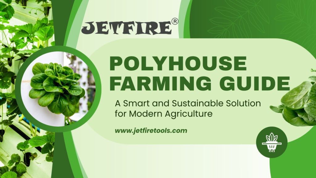 Polyhouse Farming Guide: Cost, Subsidy (50%+), Crops & Complete Setup 2 Polyhouse Farming Guide