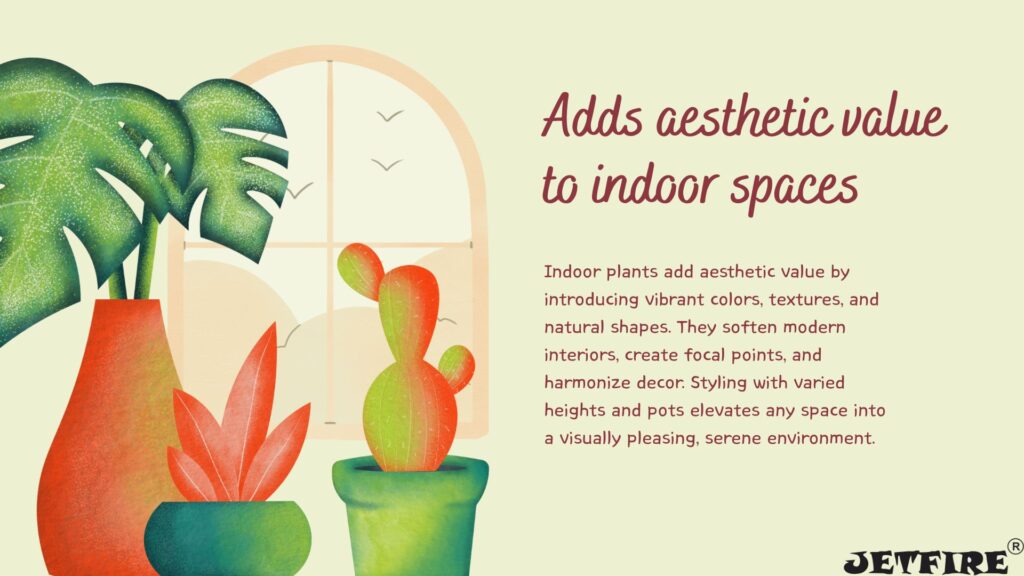 Best Organic Fertilizer for Indoor Plants: The Ultimate Natural Guide 2 Adds aesthetic value to indoor spaces