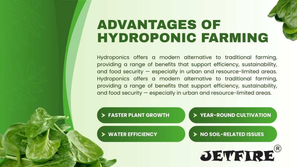 Hydroponic Nutrient Solution for Vegetables: The Ultimate Guide 5 Advantages of Hydroponic Farming