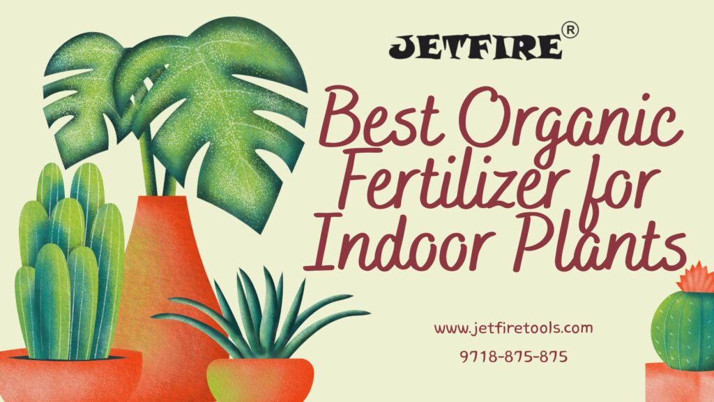 Best Organic Fertilizer for Indoor Plants: The Ultimate Natural Guide 10 Best Organic Fertilizer for Indoor Plants