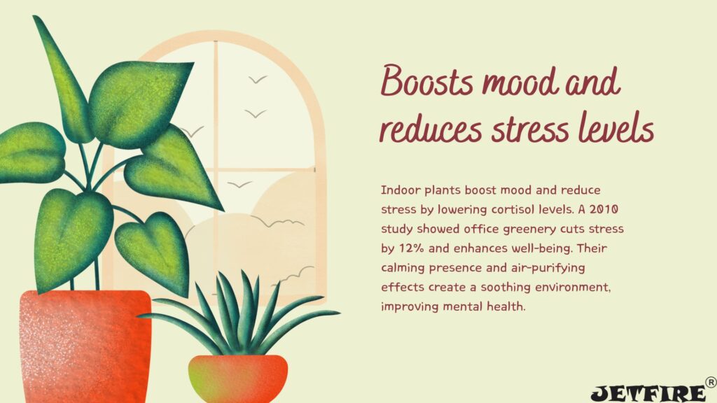 Best Organic Fertilizer for Indoor Plants: The Ultimate Natural Guide 8 Boosts mood and reduces stress levels