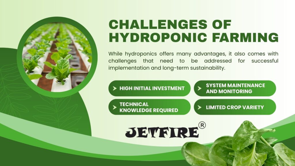 Hydroponic Nutrient Solution for Vegetables: The Ultimate Guide 6 Challenges of Hydroponic Farming