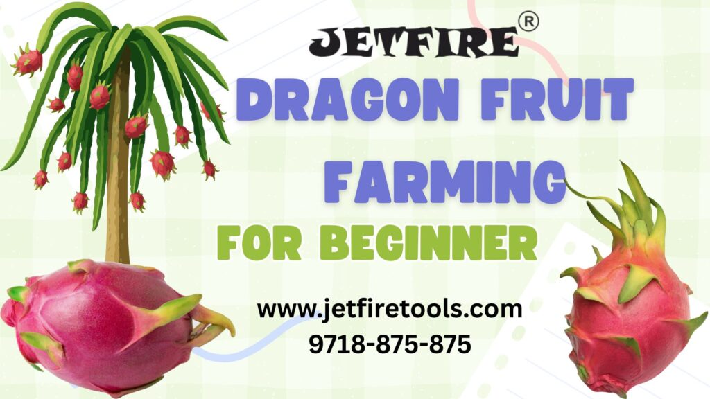 Dragon Fruit Farming for Beginners: Complete Step-by-Step Guide to Growing Pitaya at Home 2 Dragon Fruit Farming for Beginners