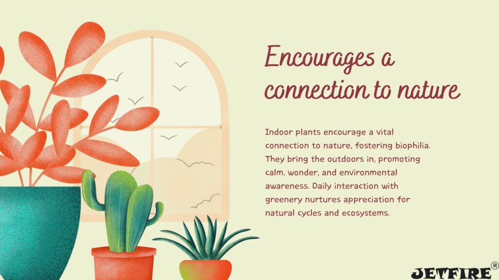 Best Organic Fertilizer for Indoor Plants: The Ultimate Natural Guide 7 Encourages a connection to nature