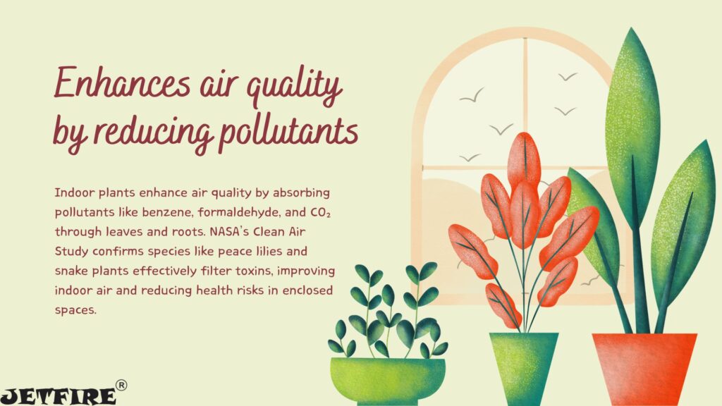 Best Organic Fertilizer for Indoor Plants: The Ultimate Natural Guide 6 Enhances air quality by reducing pollutants