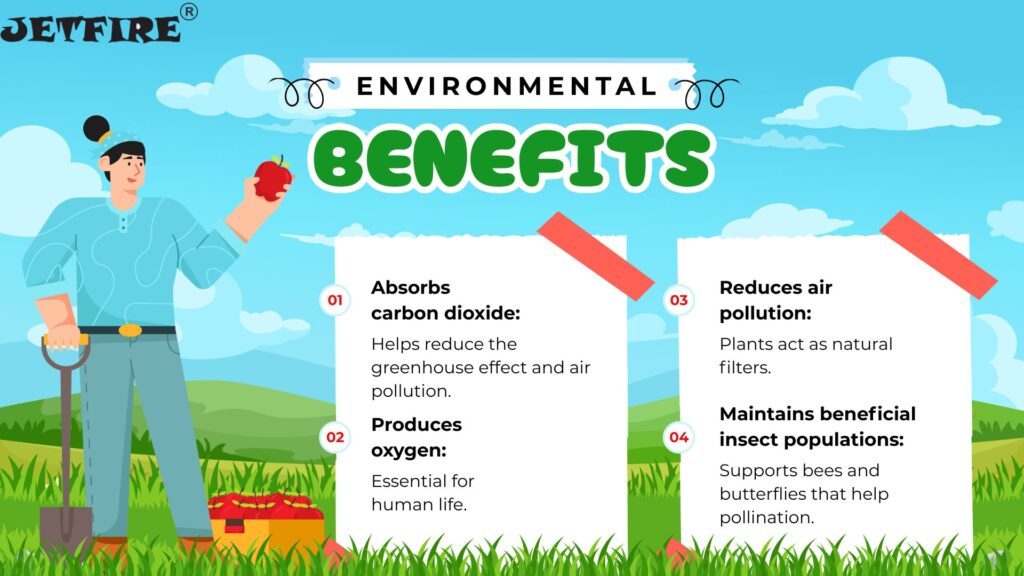 15 Genius Small Backyard Garden Design Ideas: Maximize Your Space! 9 Gardening Benefits to Environment