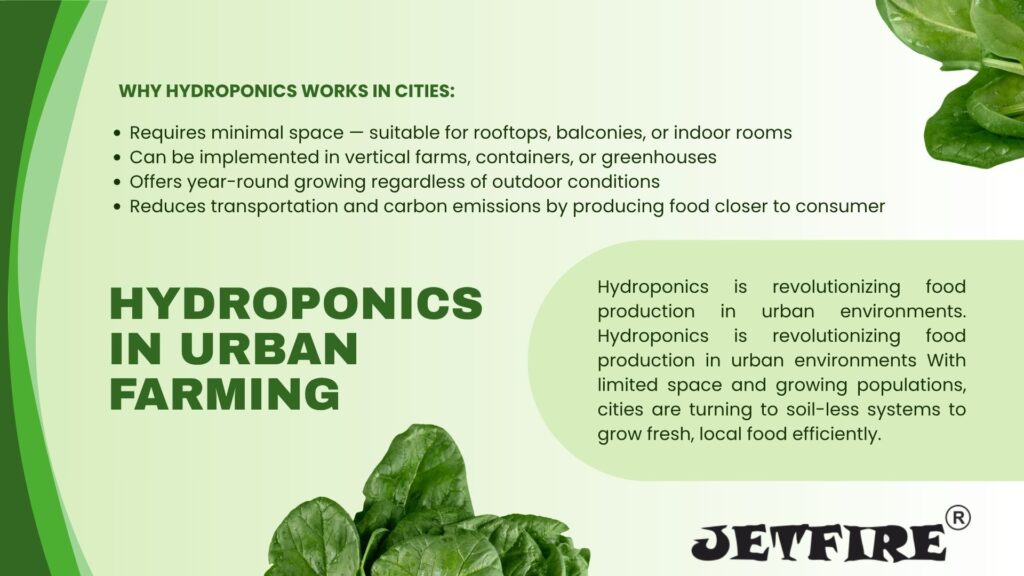 Hydroponic Gardening Systems for Beginners: Ultimate Guide to Easy Setup & Growth 10 Hydroponics in Urban Farming