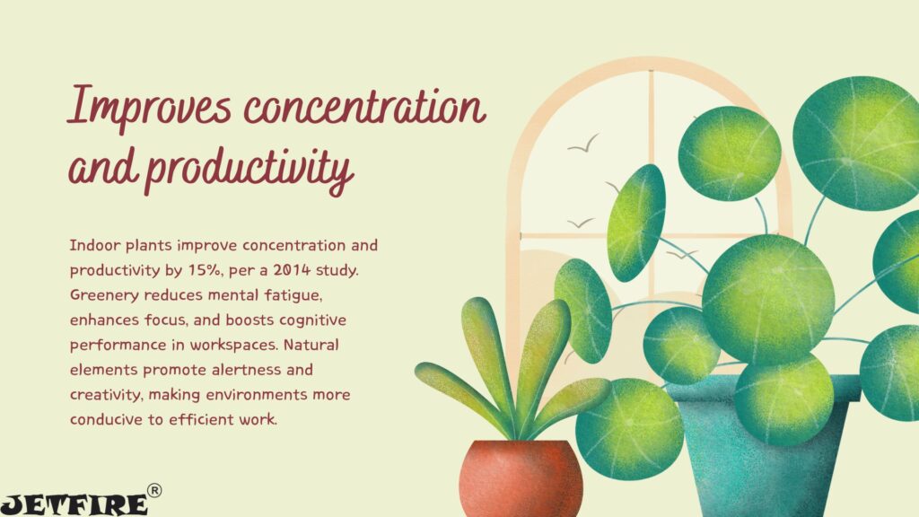 Best Organic Fertilizer for Indoor Plants: The Ultimate Natural Guide 5 Improves concentration and productivity