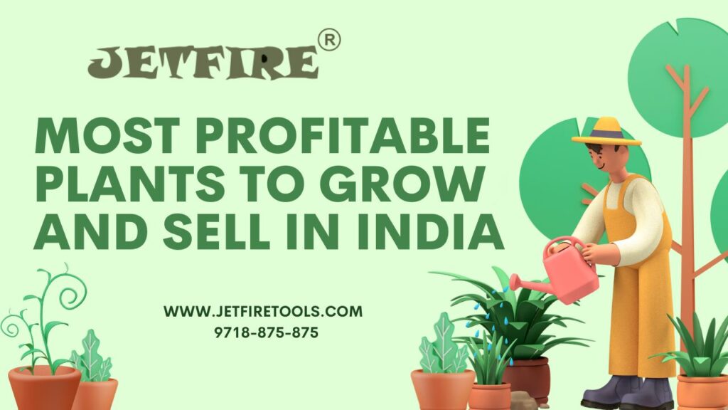 Most Profitable Plants to Grow and Sell in India: High-Value Crops for Maximum Income 2 Most Profitable Plants to Grow and Sell in India