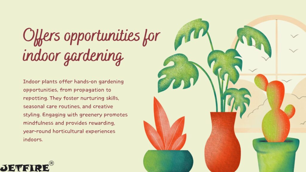Best Organic Fertilizer for Indoor Plants: The Ultimate Natural Guide 4 Offers opportunities for indoor gardening