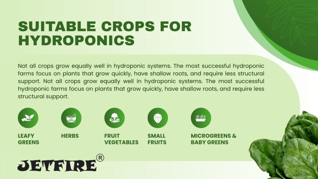 Hydroponic Gardening Systems for Beginners: Ultimate Guide to Easy Setup & Growth 8 Suitable Crops for Hydroponics