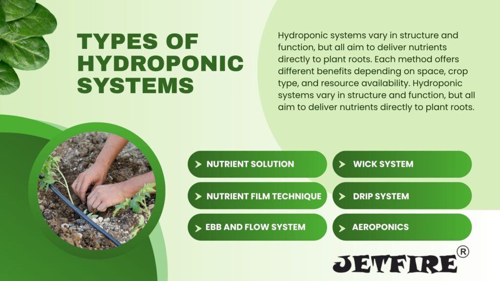 Hydroponic Gardening Systems for Beginners: Ultimate Guide to Easy Setup & Growth 3 Types of Hydropinic Systems