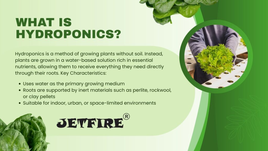 Hydroponic Gardening Systems for Beginners: Ultimate Guide to Easy Setup & Growth 2 What is Hydroponic Gardening