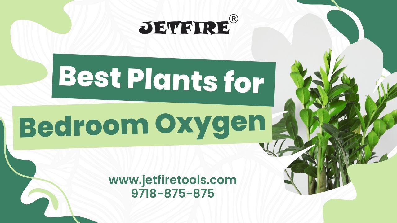 Best Plants for Bedroom Oxygen