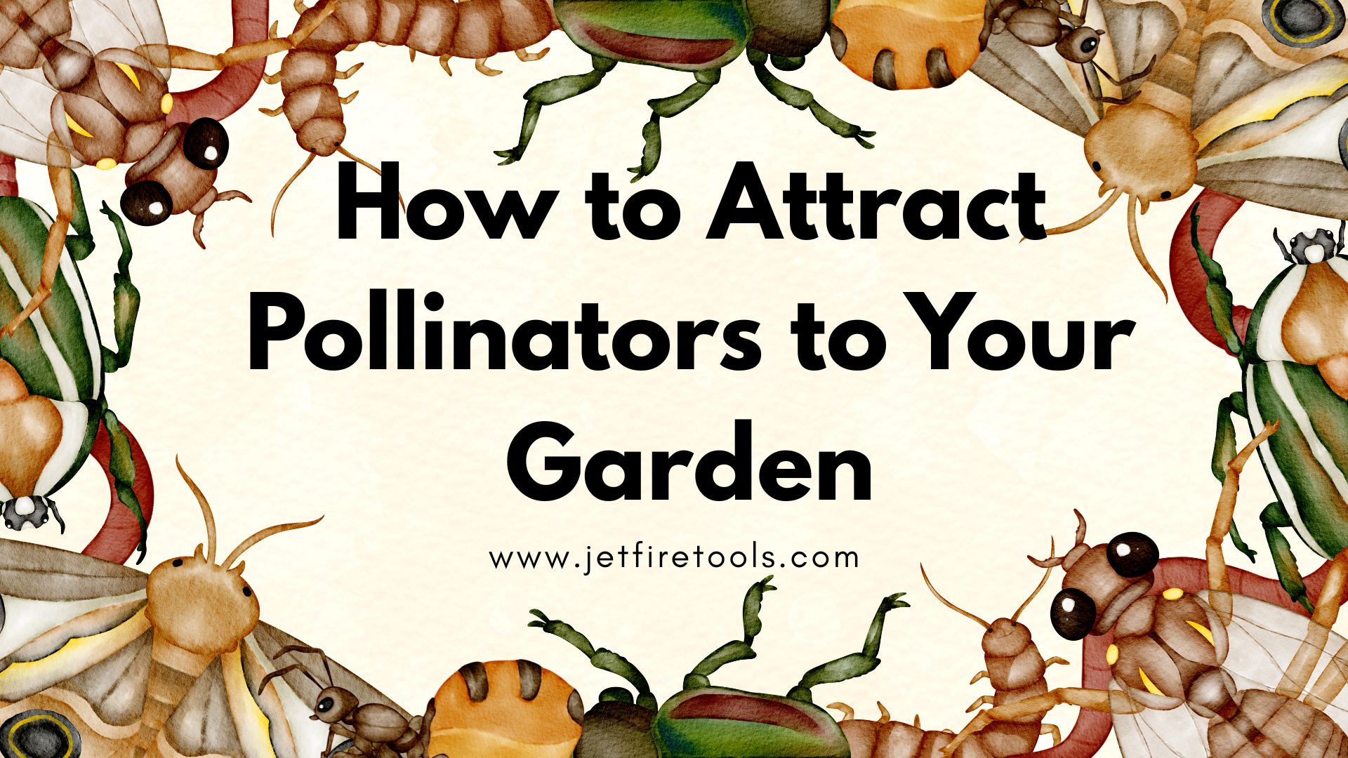 How to Attract Pollinators to Your Garden: Ultimate Guide for Bees, Butterflies & More 8 How to Attract Pollinators to Your Garden