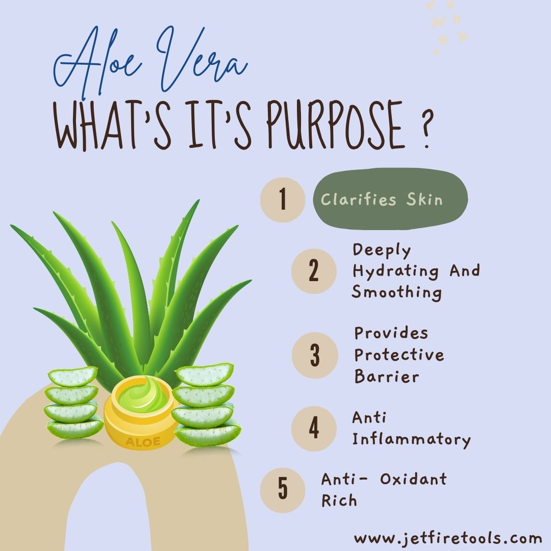 Aloe Vera Care and Medicinal Uses: The Ultimate Guide to Benefits & Growing 3 What Is The Purpose Of Using Aloe vera Instagram Post