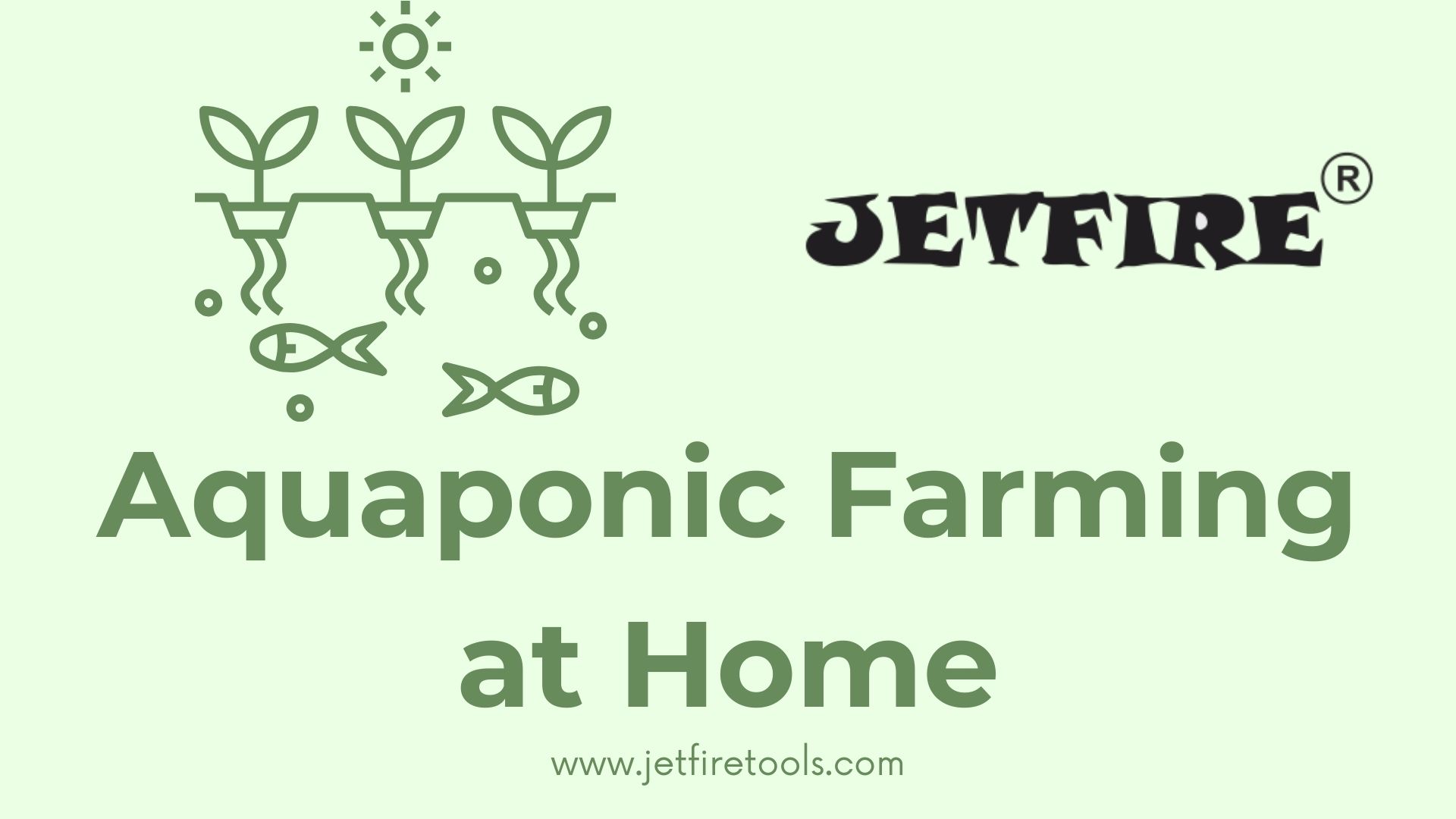 Aquaponic Farming at Home