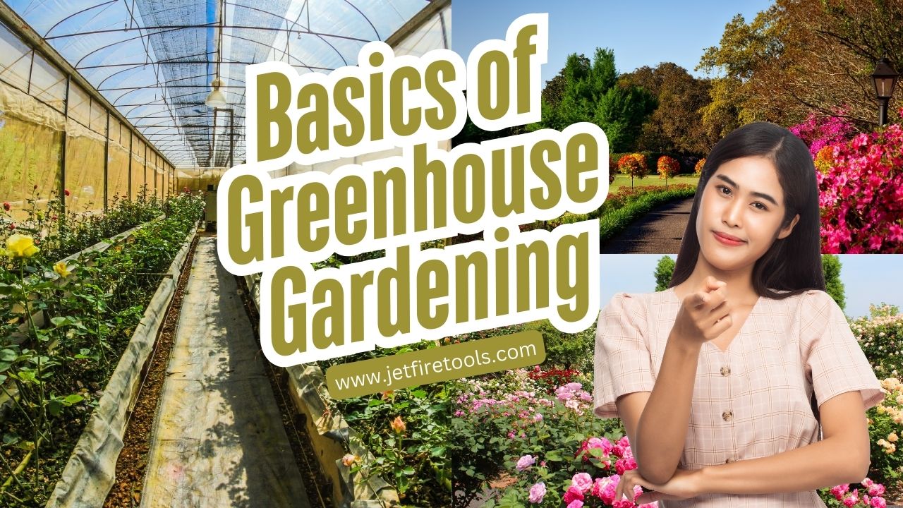 Basics of Greenhouse Gardening | Greenhouse Gardening for Beginners 3 Basics of Greenhouse Gardening