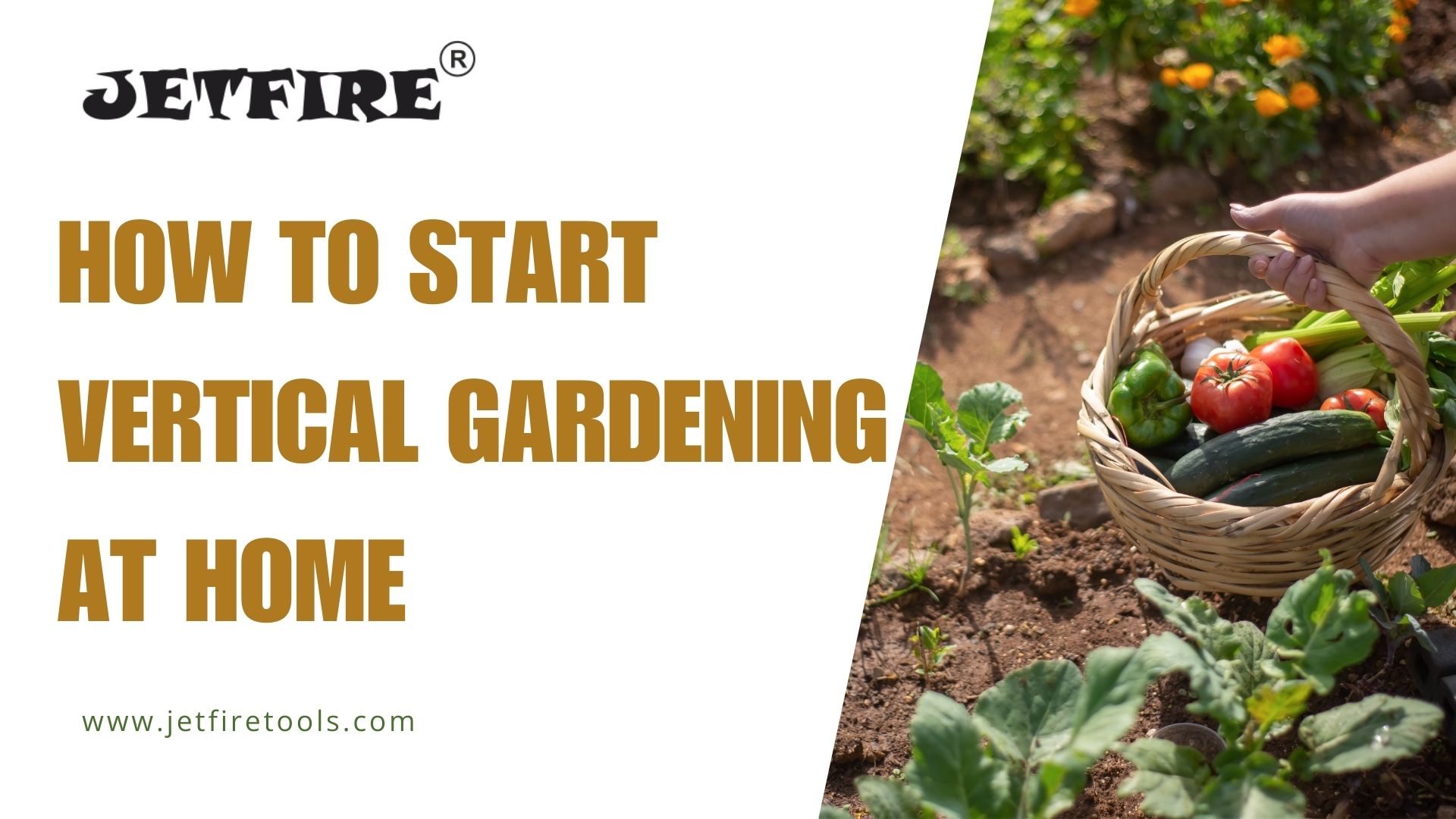 How to Start Vertical Gardening at Home – Complete Beginner Guide 4 How to Start Vertical Gardening at Home