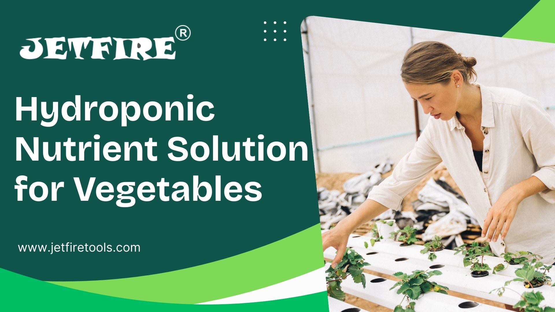 Hydroponic Nutrient Solution for Vegetables: The Ultimate Guide 7 Hydroponic Nutrient Solution for Vegetables