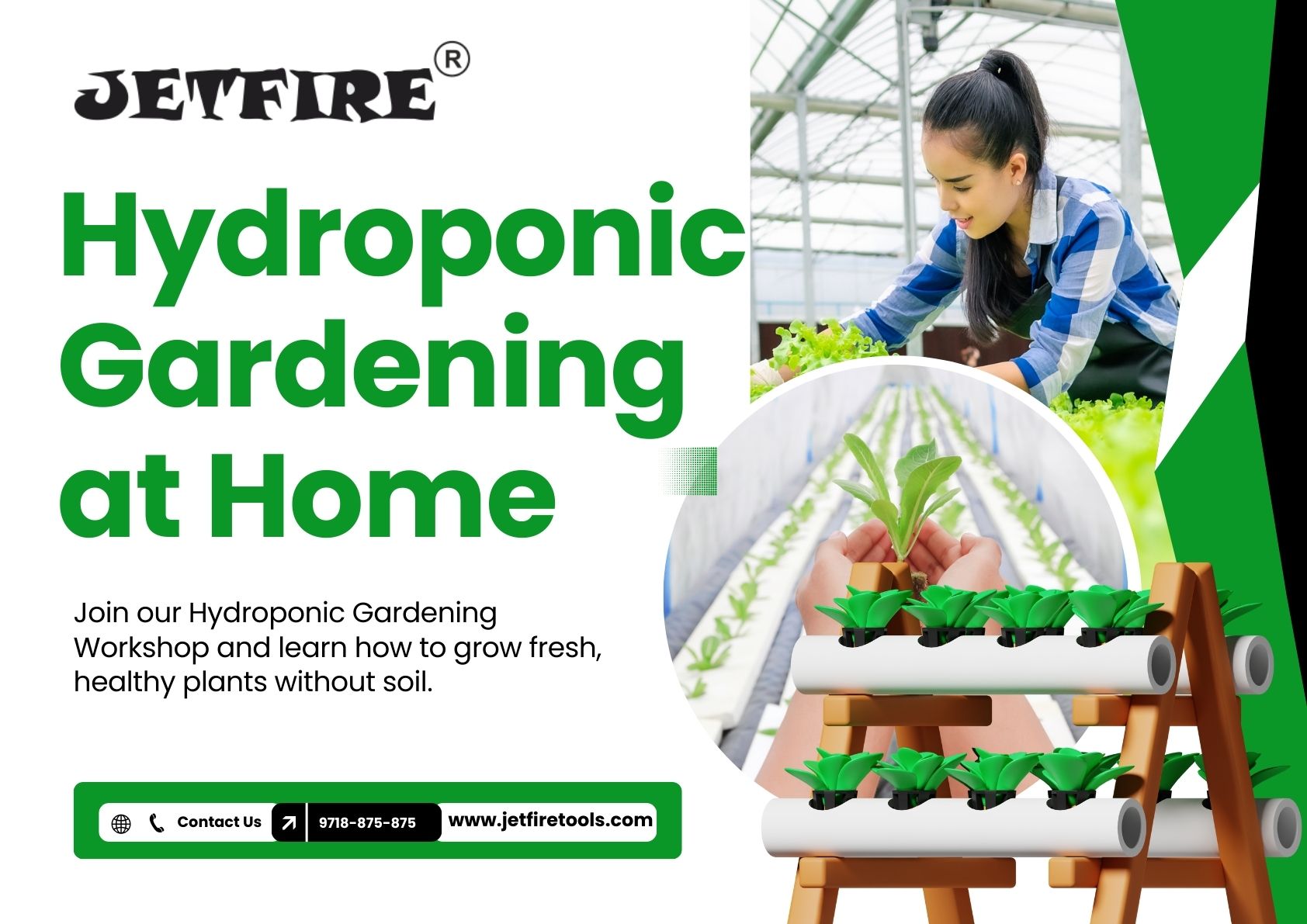 How to Start Vertical Gardening at Home – Complete Beginner Guide 2 Hydroponic gardening at home