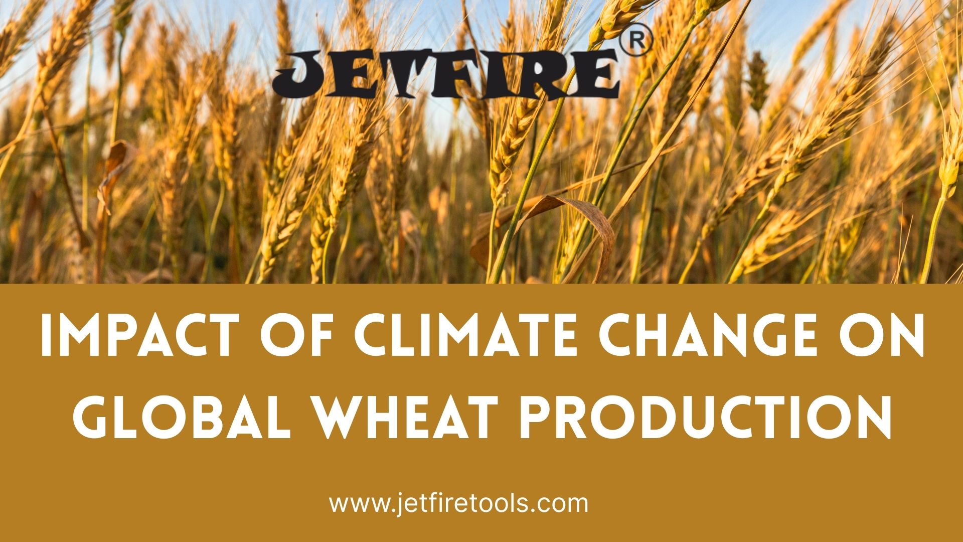 Impact of Climate Change on Global Wheat Production | 2026 Report 4 Impact of Climate Change on Global Wheat Production