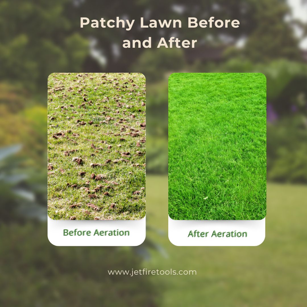 How to Fix a Patchy Lawn After Winter (Complete Step-by-Step Lawn Repair Guide) 2 Patchy Lawn Before and After