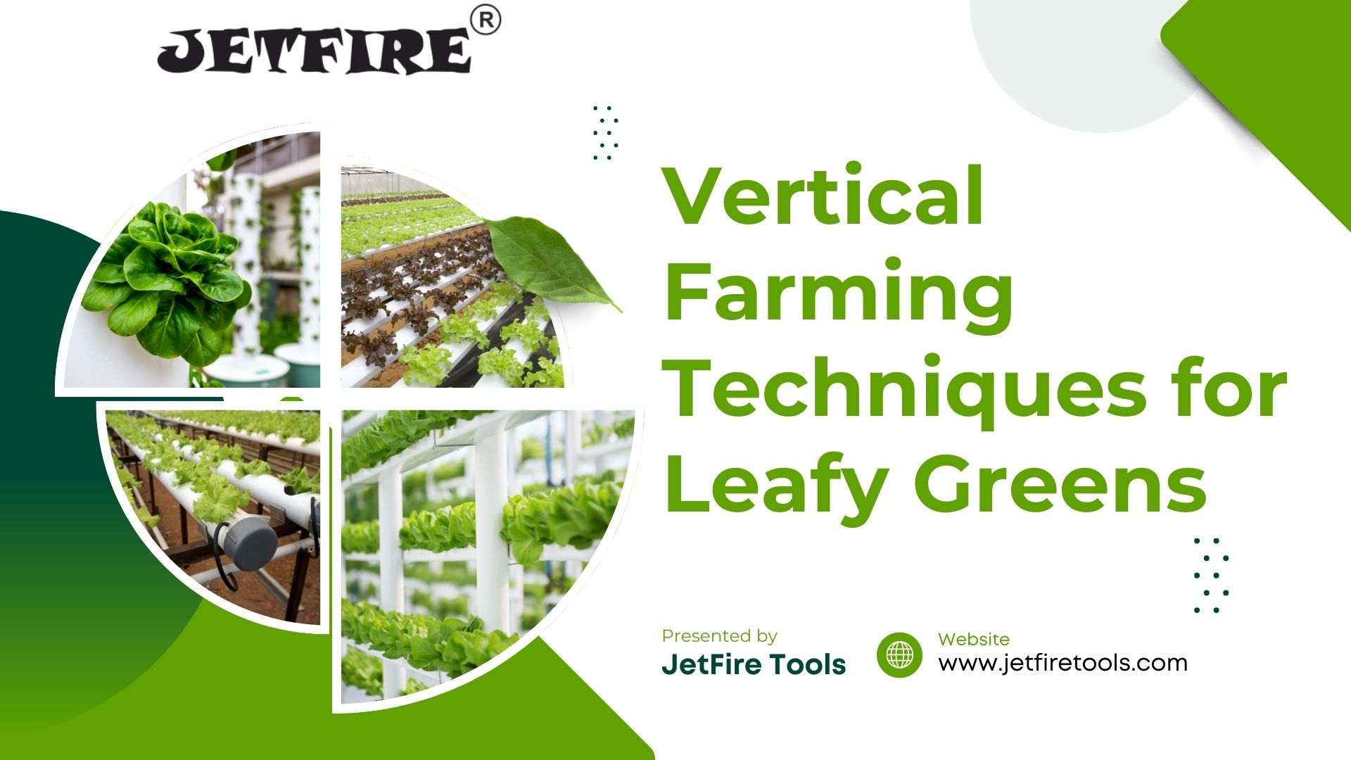 Terrace Farming as a Profitable Business: 2026 Guide to High ROI 2 Vertical Farming Techniques for Leafy Greens