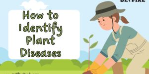 How to Identify Plant Diseases