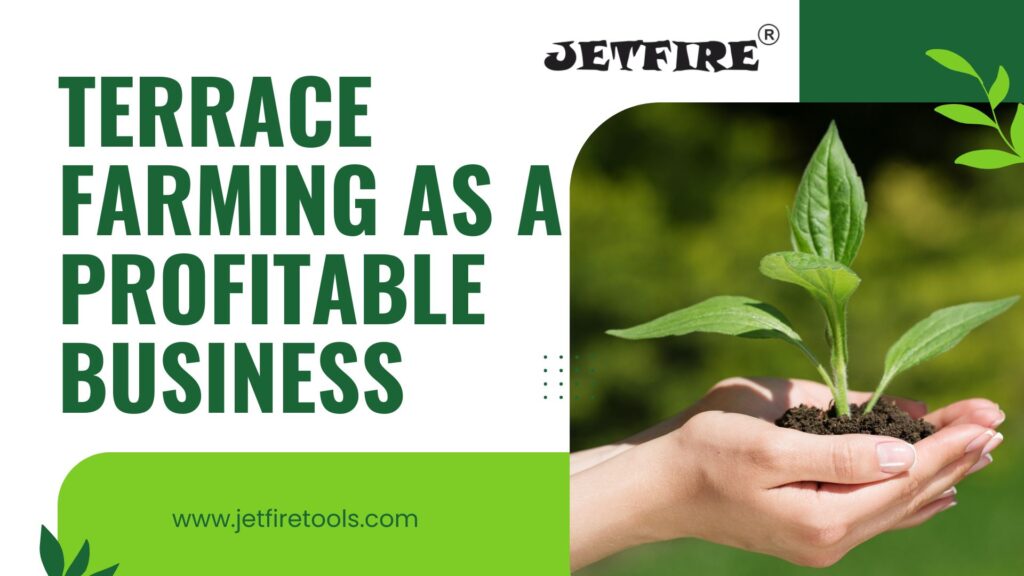Terrace Farming as a Profitable Business: 2026 Guide to High ROI 4 Terrace farming as a profitable business