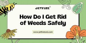 How Do I Get Rid of Weeds Safely