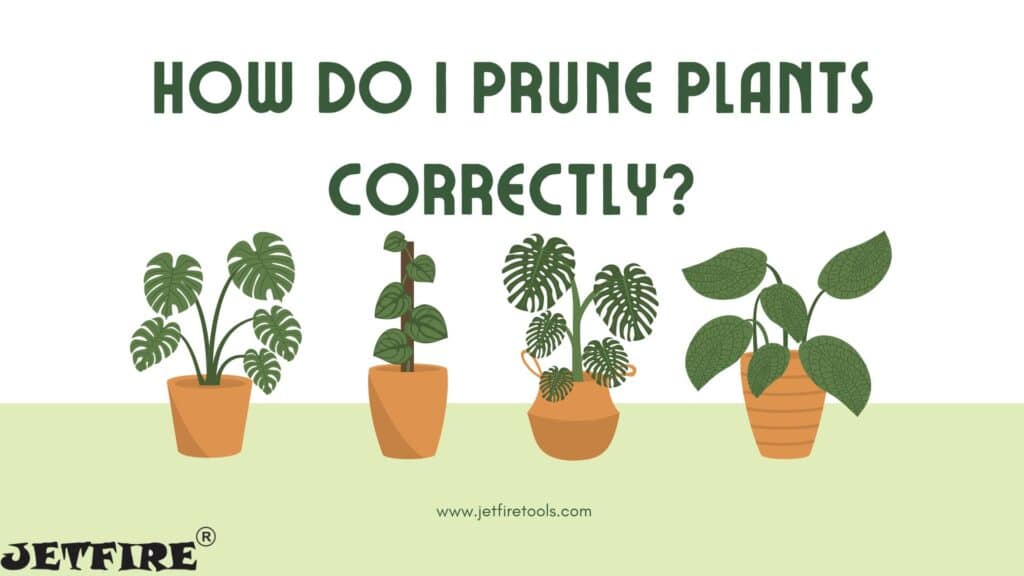 How do I prune plants correctly