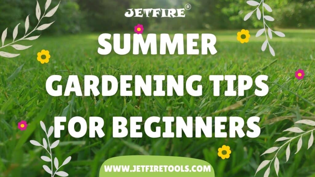 Summer Gardening Tips for Beginners