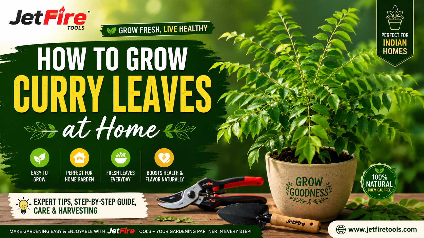 10 Best Natural Fungicides for Plants: Save Your Garden Successfully Now! 8 How to Grow Curry Leaves at Home