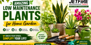 Low Maintenance Plants for Home Garden