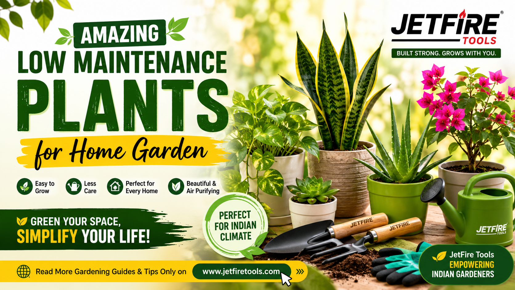 10 Best Natural Fungicides for Plants: Save Your Garden Successfully Now! 6 Low Maintenance Plants for Home Garden